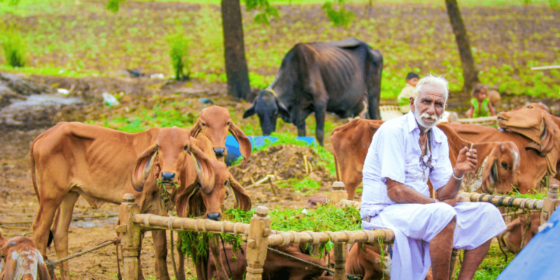 Carbon Stories from the Ground: Farmers for Forests