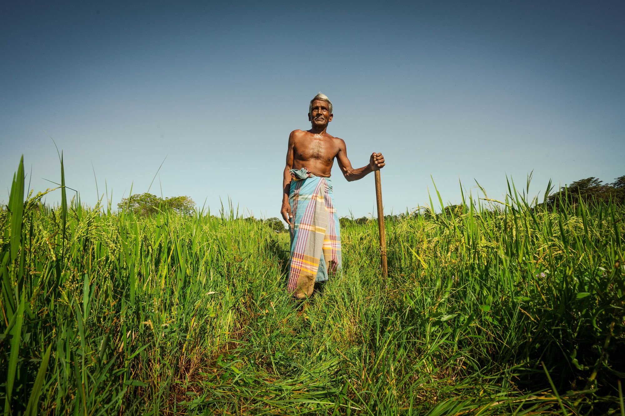 What will it take for smallholder farmers to transition to low-emissions agriculture?