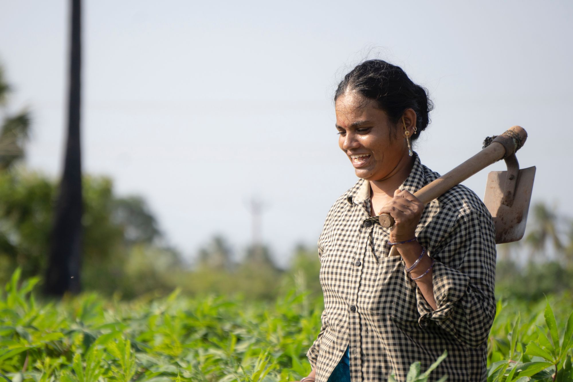 The Quest for Quality: Designing a high-quality carbon project in India